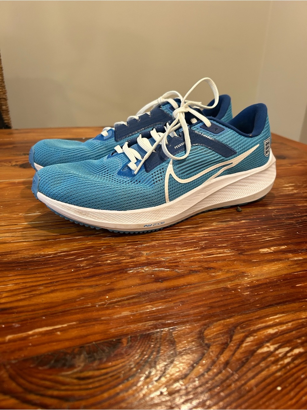 Nike Men’s Teal and Navy Running Shoes with White Swoosh